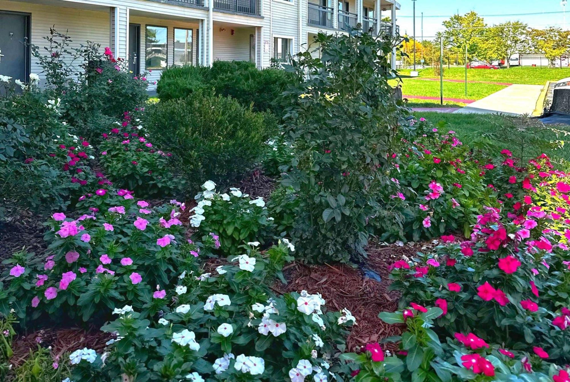 Baymont Inn And Suites By Wyndham Columbus / Near Osu Exterior photo